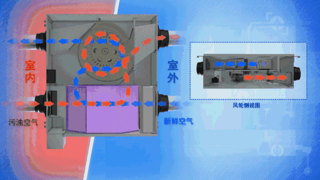 1636441890263642.gif 12.gif